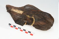 Foto von Holzeimer (NHMW-PRAE-003506)